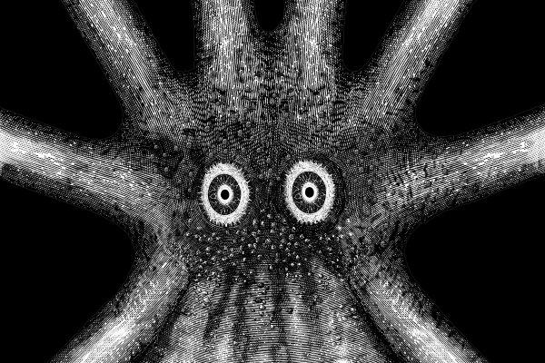 Kraken darknet